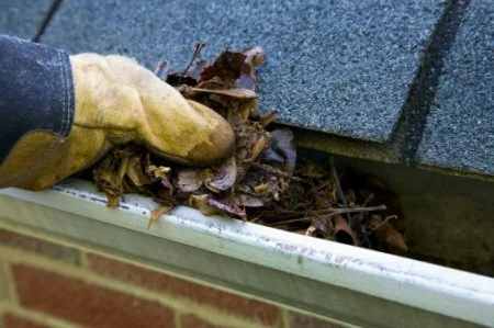 Gutter Cleaning in Farmington Hills, MI | CJB Pest & Mosquito Control - 146056643